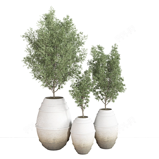 Modern Indoor Plant Set 3D model image 1