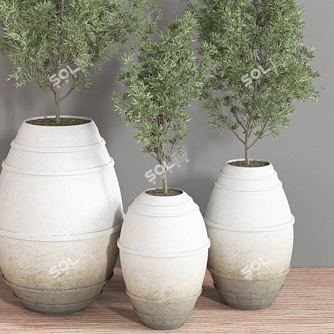 Modern Indoor Plant Set 3D model image 3