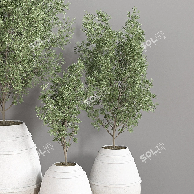 Modern Indoor Plant Set 3D model image 4