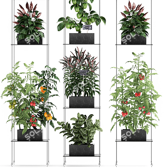 Vertical Garden: 72 Plant Varieties 3D model image 2