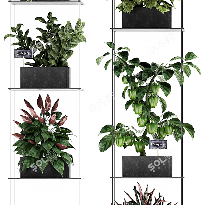 Vertical Garden: 72 Plant Varieties 3D model image 5