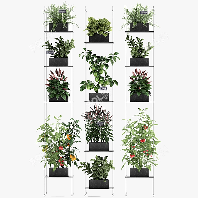 Vertical Garden: 72 Plant Varieties 3D model image 6