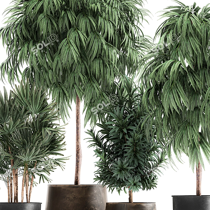Tropical Plant Collection: Exotic and Stylish 3D model image 4