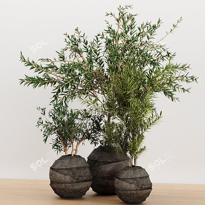 Indoor Plant Trio with Unique Pot 3D model image 10