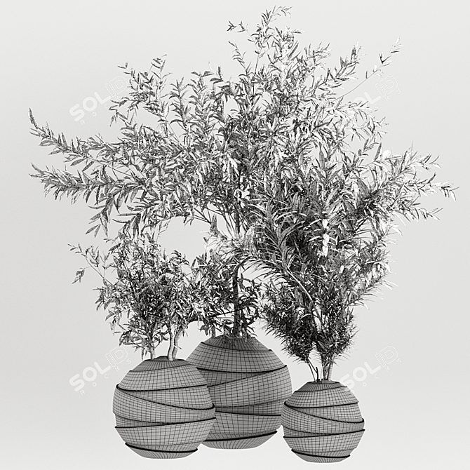 Indoor Plant Trio with Unique Pot 3D model image 11