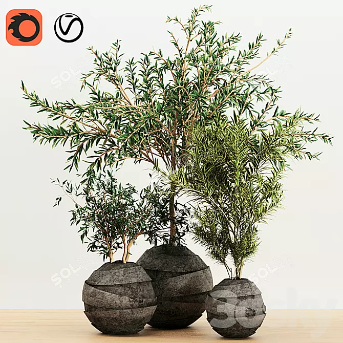 Indoor Plant Trio with Unique Pot 3D model image 3