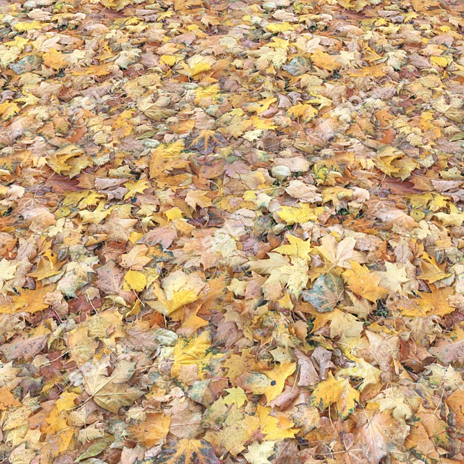 Autumn Leaves Texture Set 3D model image 2