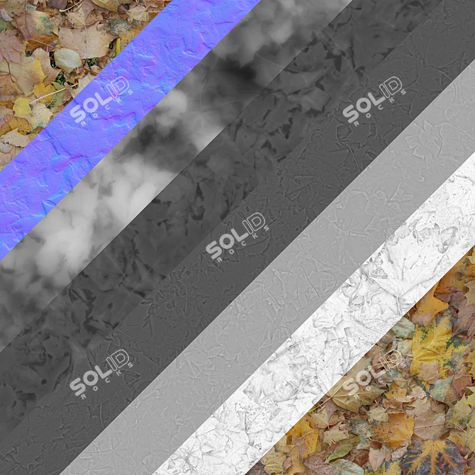 Autumn Leaves Texture Set 3D model image 3