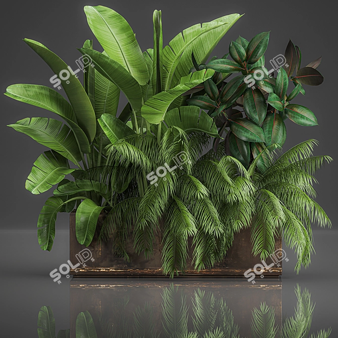 Tropical Plant Assortment in Rustic Metal Pots 3D model image 5