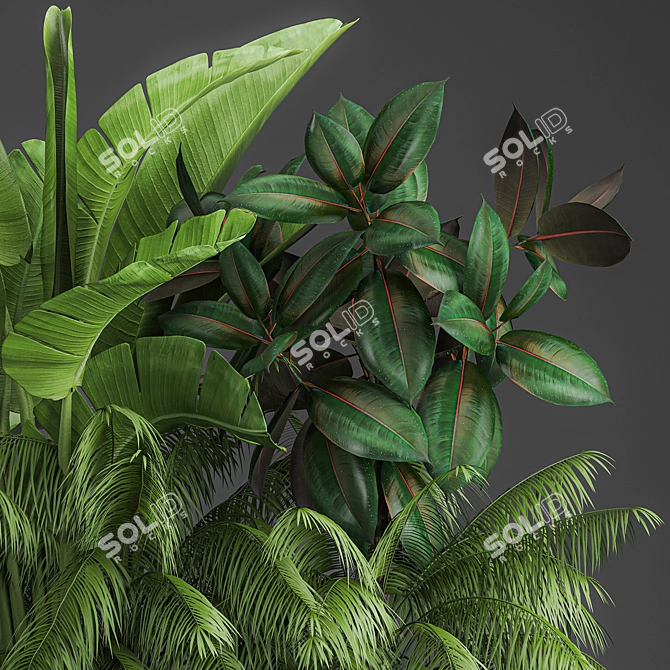 Tropical Plant Assortment in Rustic Metal Pots 3D model image 7