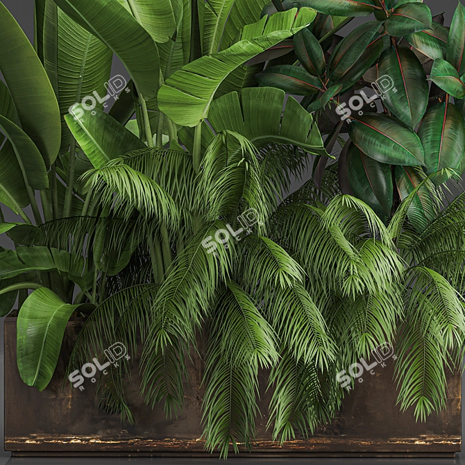 Tropical Plant Assortment in Rustic Metal Pots 3D model image 1