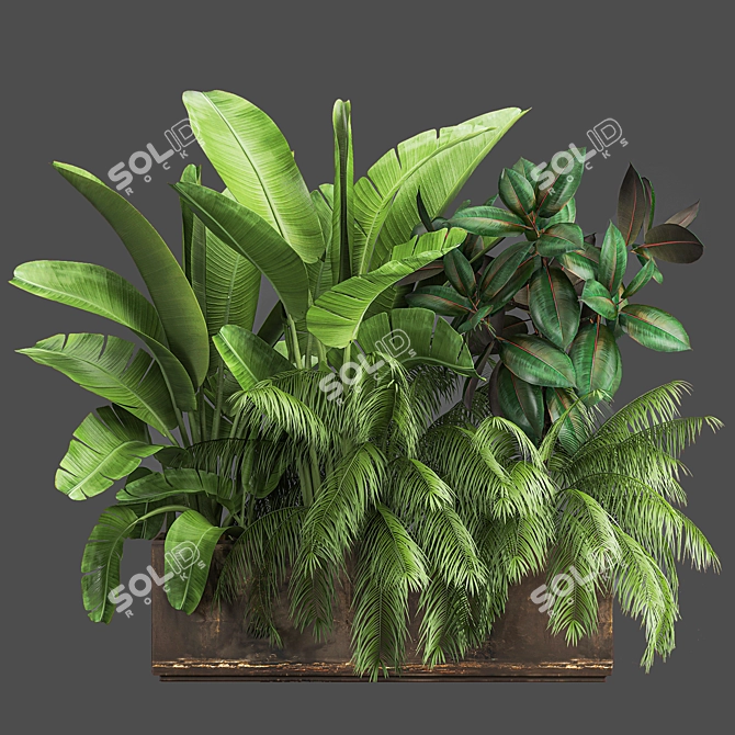 Tropical Plant Assortment in Rustic Metal Pots 3D model image 4