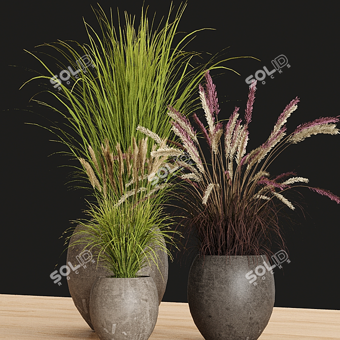 Faux Pampas & Grass Pot Trio 3D model image 2