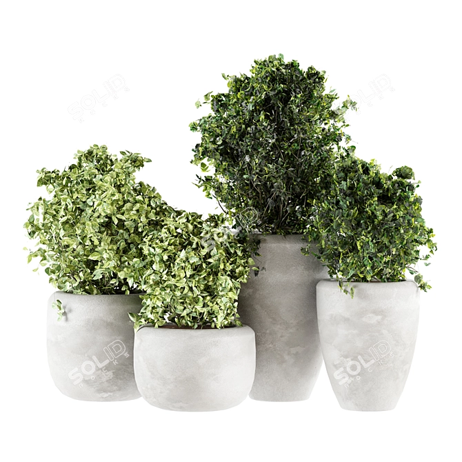 Concrete Potted Indoor Plants 3D model image 1