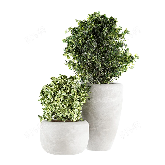 Concrete Potted Indoor Plants 3D model image 2