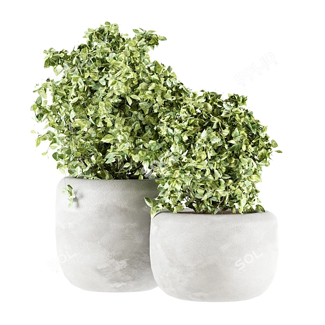 Concrete Potted Indoor Plants 3D model image 3