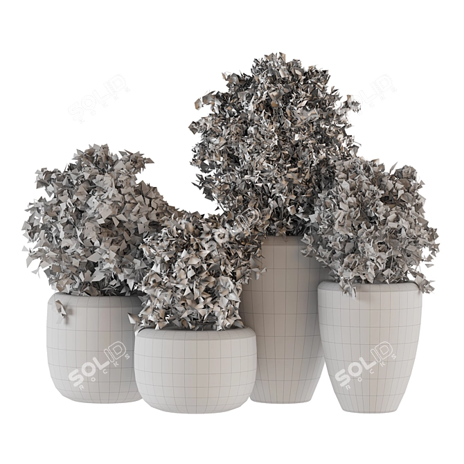 Concrete Potted Indoor Plants 3D model image 5