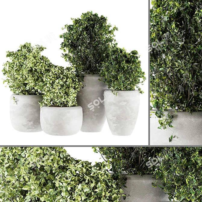 Concrete Potted Indoor Plants 3D model image 6