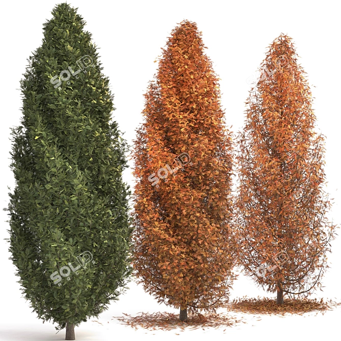 Elegant Cypress Tree Trio 3D model image 2