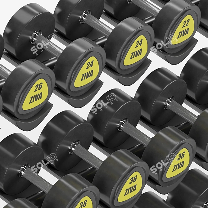 Ziva Dumbbell Set: 16Kg-50Kg 3D model image 4