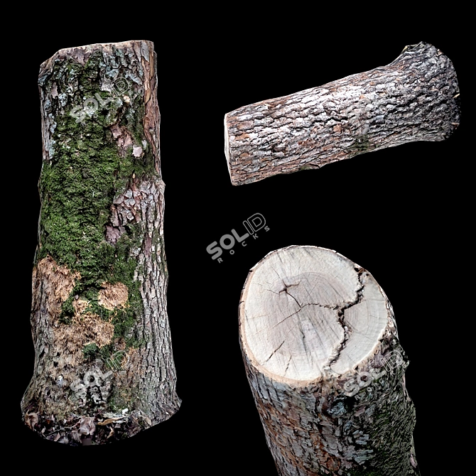 Photogrammetry Stump Game-Ready Model  Photorealistic 3D Stump for Video Games 3D model image 1