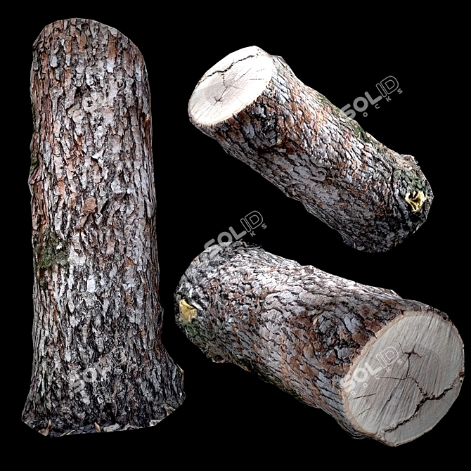 Photogrammetry Stump Game-Ready Model  Photorealistic 3D Stump for Video Games 3D model image 3