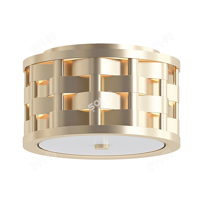 Elegant Woven Ceiling Light 3D model image 1