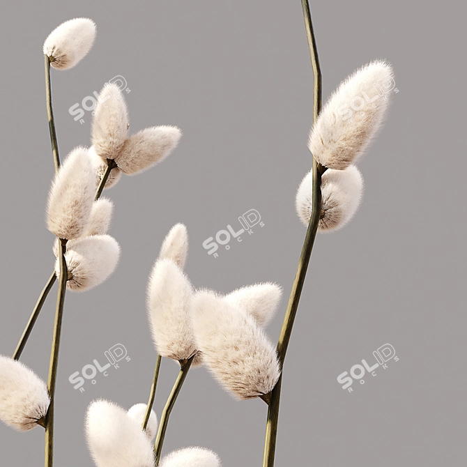 Premium Collaction Indoor Plants 3D model image 5