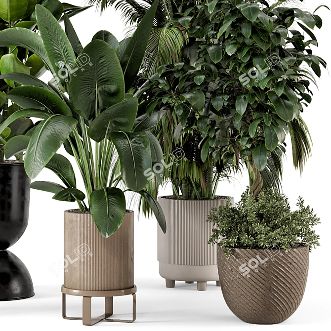 Ferm Living Bau Pot Large - Set 290: Stylish Indoor Plants 3D model image 4