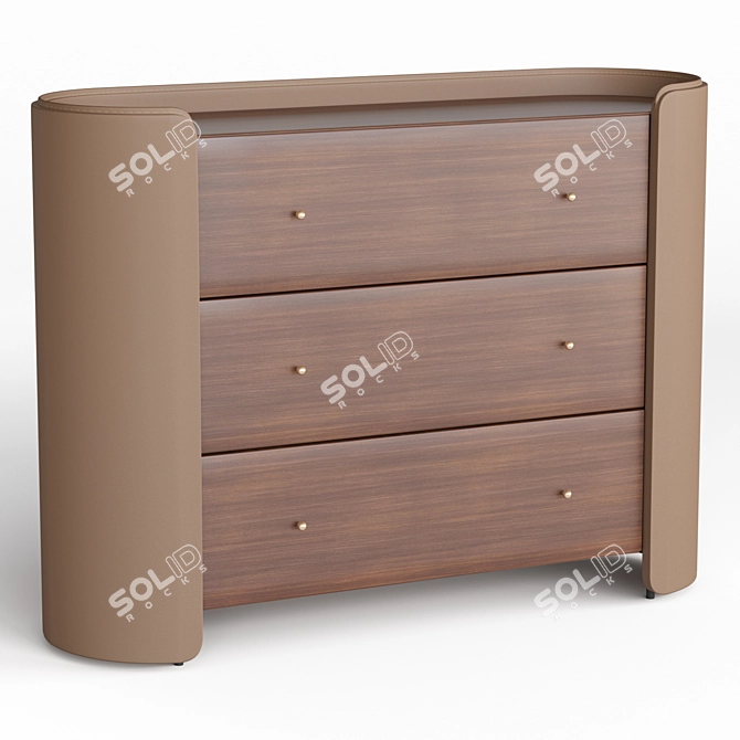 Walnut & Leather Chest of Drawers 3D model image 1
