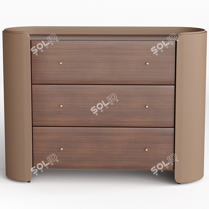Walnut & Leather Chest of Drawers 3D model image 2