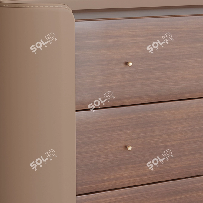 Walnut & Leather Chest of Drawers 3D model image 3