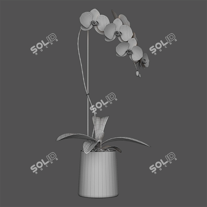 Elegant White Orchid: Pot of Delicate Beauty 3D model image 5