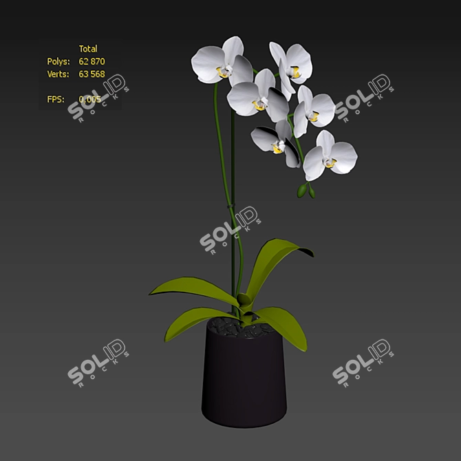 Elegant White Orchid: Pot of Delicate Beauty 3D model image 6