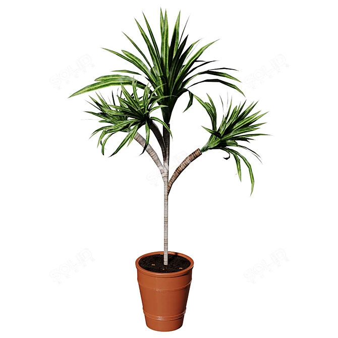 Tropical Touch: Mini Palm Tree 3D model image 1