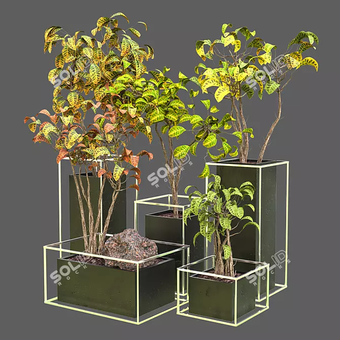 Modern Greenery: Indoor_Plant_Vol_12 3D model image 1