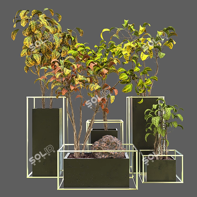 Modern Greenery: Indoor_Plant_Vol_12 3D model image 2