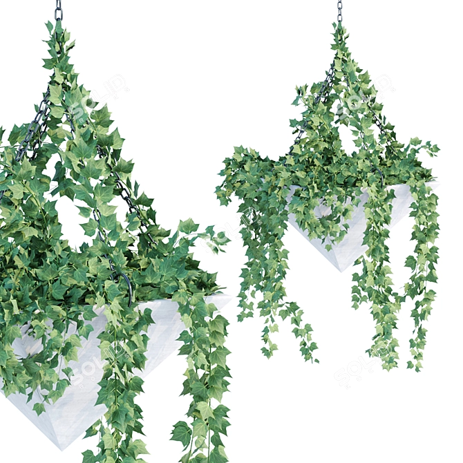 Hanging Plant Collection - Vol. 46 3D model image 4