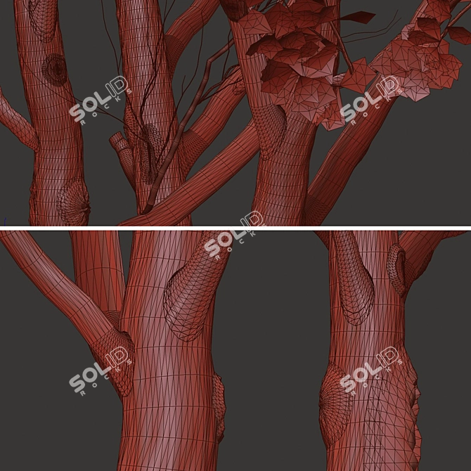 2 Acer Campestre Trees | Field Maple Set 3D model image 6