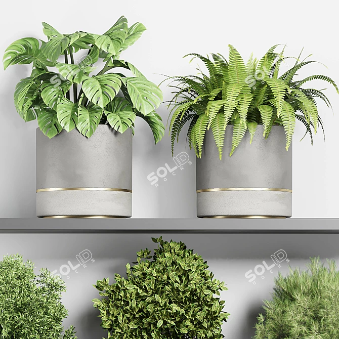 Concrete Plant Pot Collection for Indoor and Outdoor Use 3D model image 5