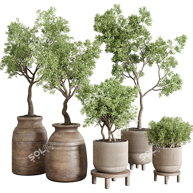 Concrete Wood Plant Collection: Vase & Tree 3D model image 1
