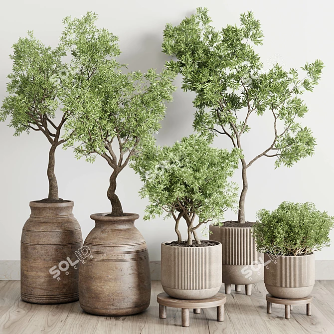 Concrete Wood Plant Collection: Vase & Tree 3D model image 2