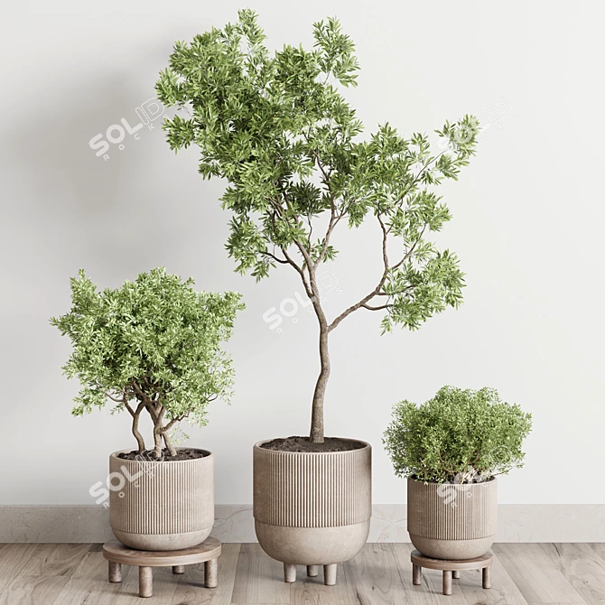 Concrete Wood Plant Collection: Vase & Tree 3D model image 3