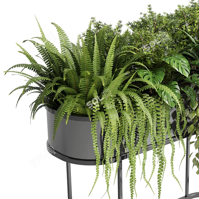 Modern Indoor Plant Collection: Metal Stand and Vase Pot 3D model image 3