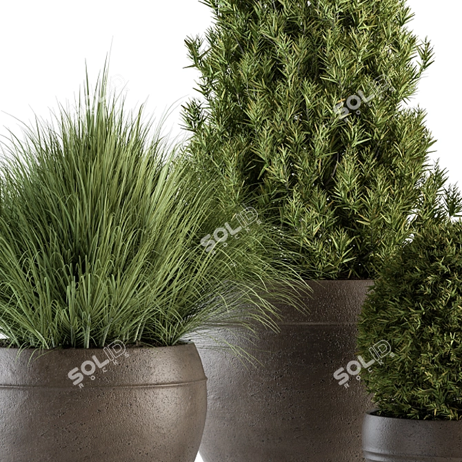 Outdoor Greenery Ensemble: 312 - Plant & Tree Set 3D model image 2