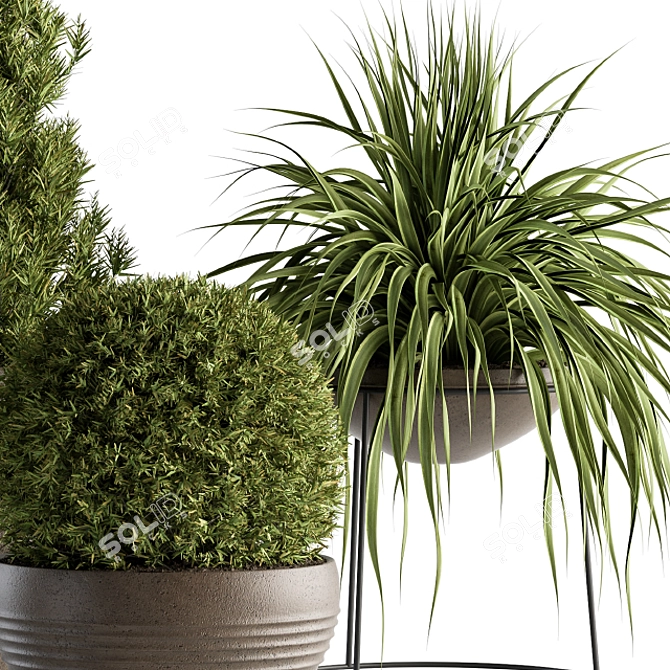 Outdoor Greenery Ensemble: 312 - Plant & Tree Set 3D model image 3