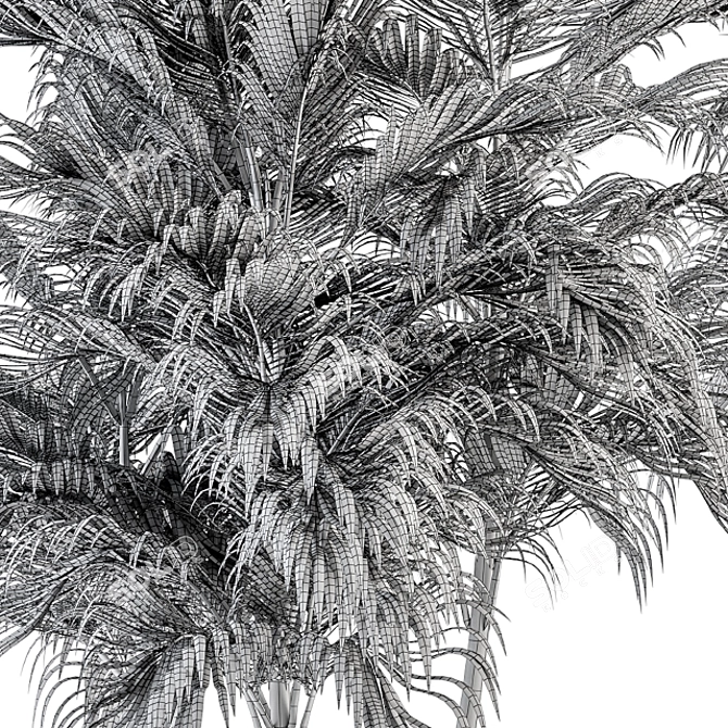 Tropical Bliss - Palm Tree Trio 3D model image 5