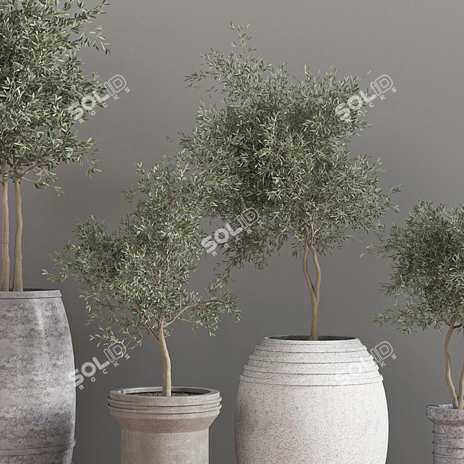 Elegant Indoor Plant Set 3D model image 3