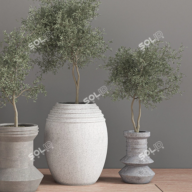 Elegant Indoor Plant Set 3D model image 4