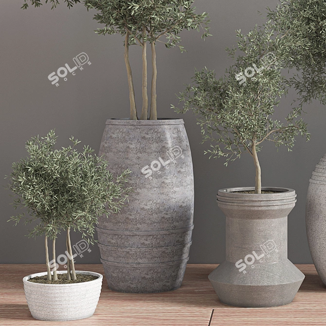 Elegant Indoor Plant Set 3D model image 5